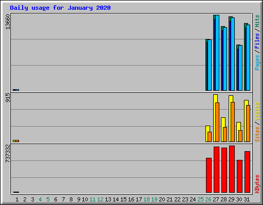 Daily usage for January 2020