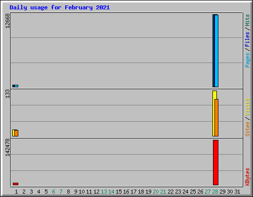 Daily usage for February 2021