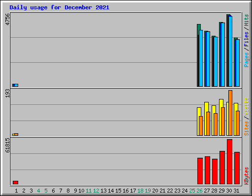 Daily usage for December 2021