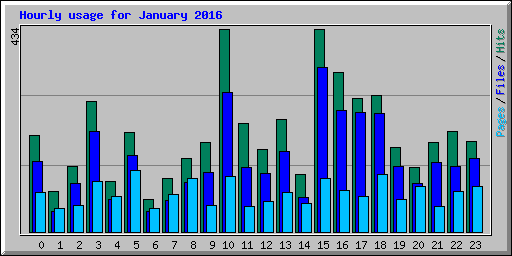 Hourly usage for January 2016