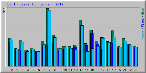 Hourly usage for January 2019