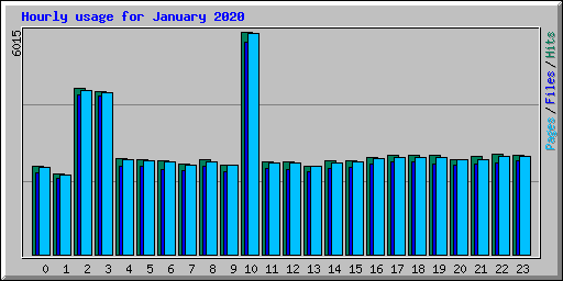 Hourly usage for January 2020