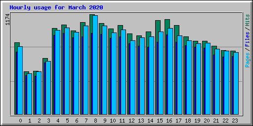 Hourly usage for March 2020
