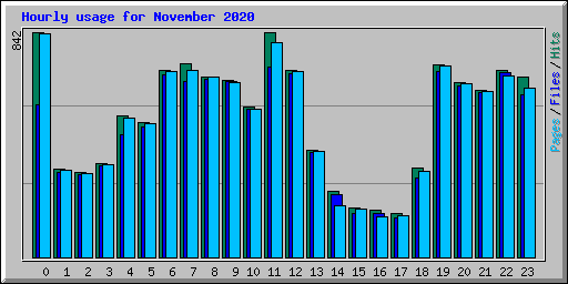 Hourly usage for November 2020