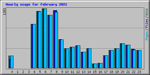 Hourly usage for February 2021