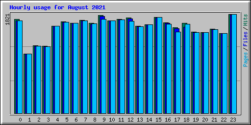 Hourly usage for August 2021