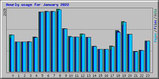 Hourly usage for January 2022