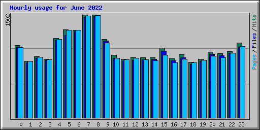 Hourly usage for June 2022